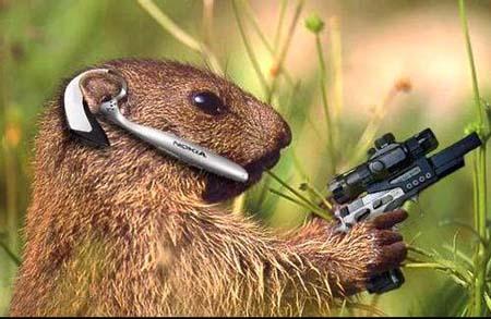 j'aime boucoup cett animale